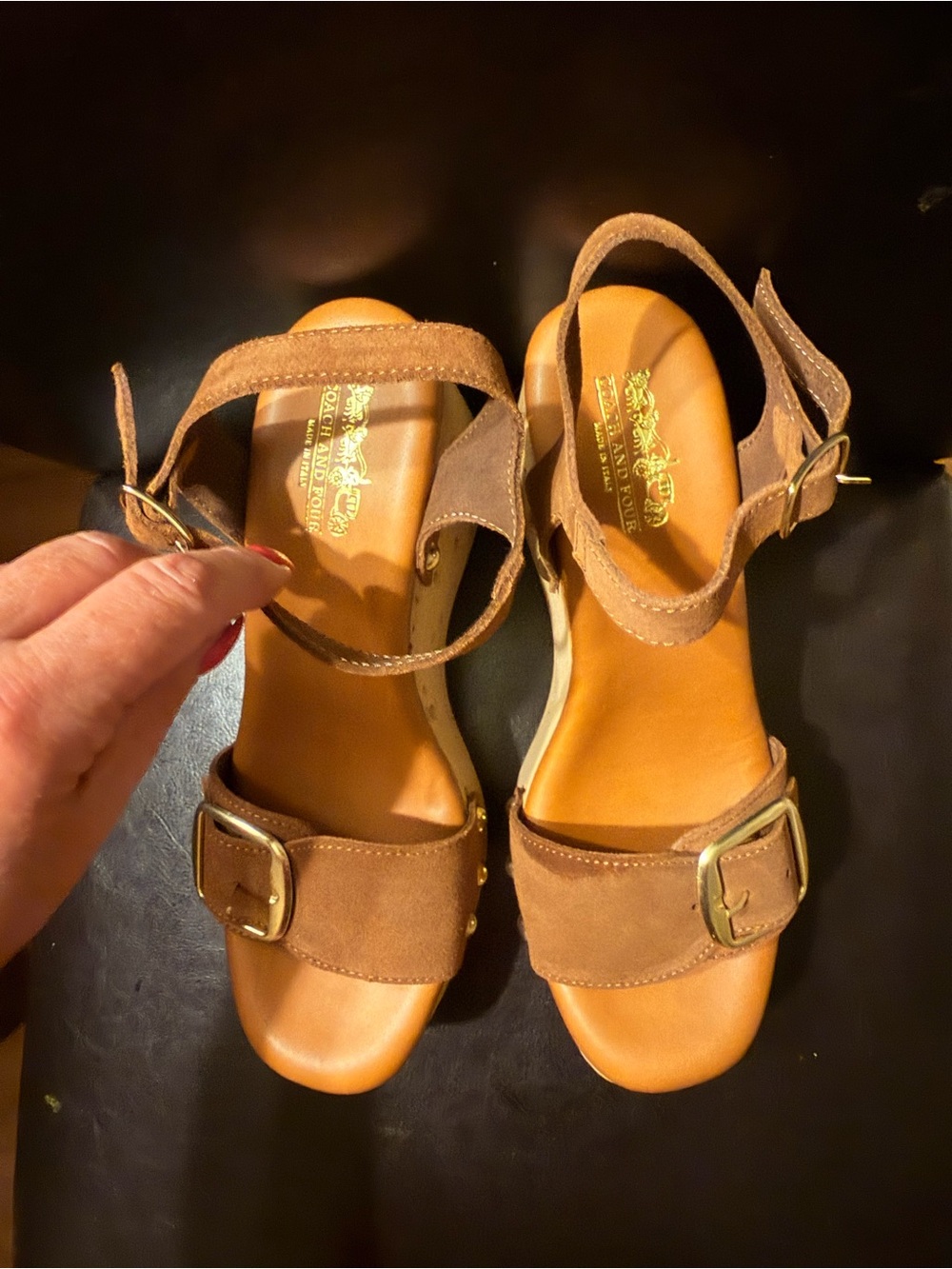 Coach Brown Suede Ankle-Strap Sandals with Gold Buckles